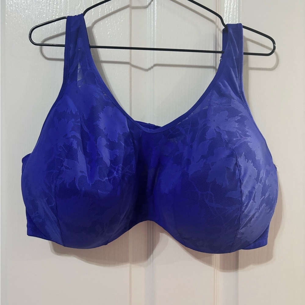 Cacique Royal Blue Floral Bra